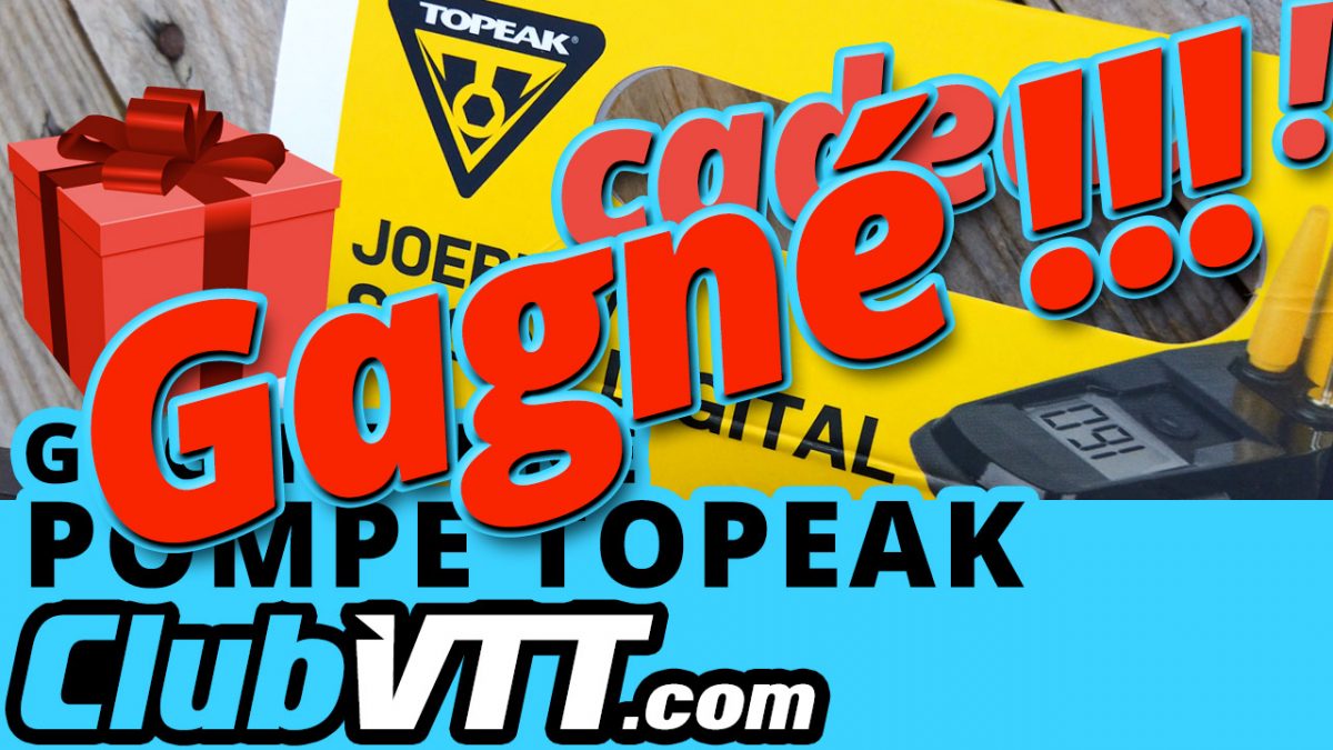 pompe velo topeak
